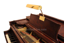 Load image into Gallery viewer, brass piano lamp with steinway piano