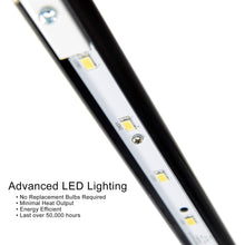 Load image into Gallery viewer, Cocoweb 22&quot; LED Grand Piano Lamp GPLED22
